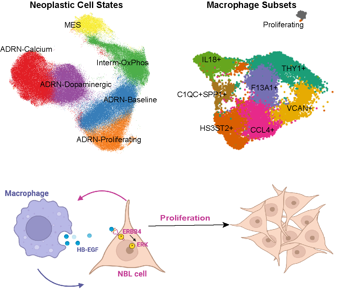 sc-Multiomics