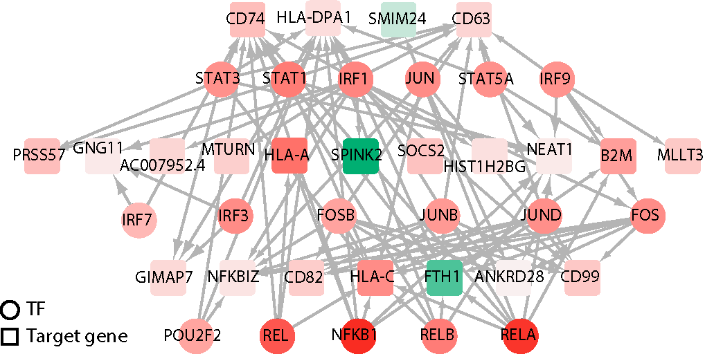 transcriptional-regu